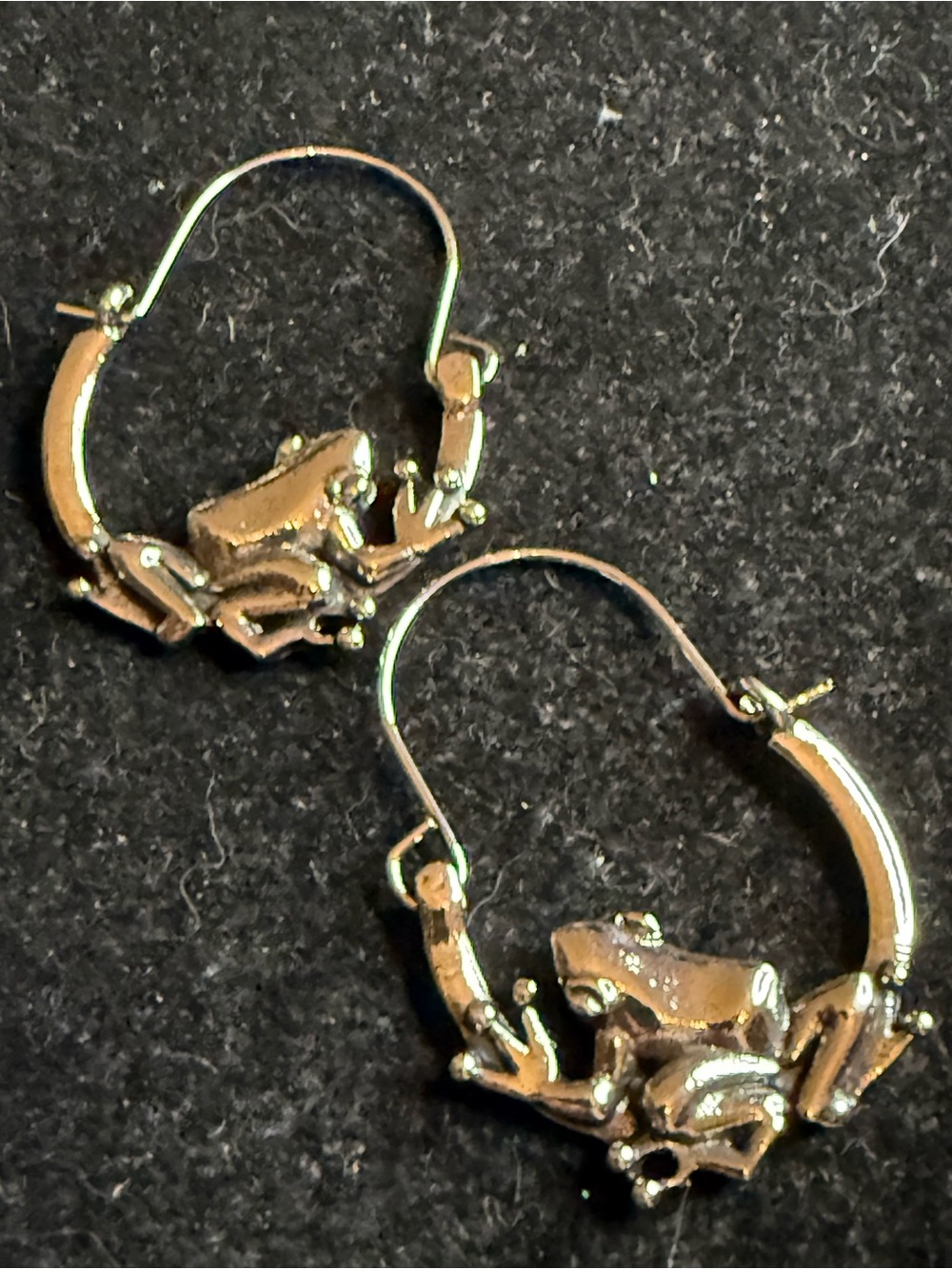 Silver Frog Hoop Earrings for Women